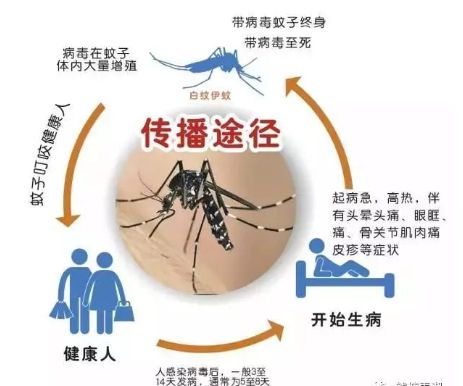 NG体育官网警惕！确诊破万已致多人死亡！家有小孩的一定要知道！